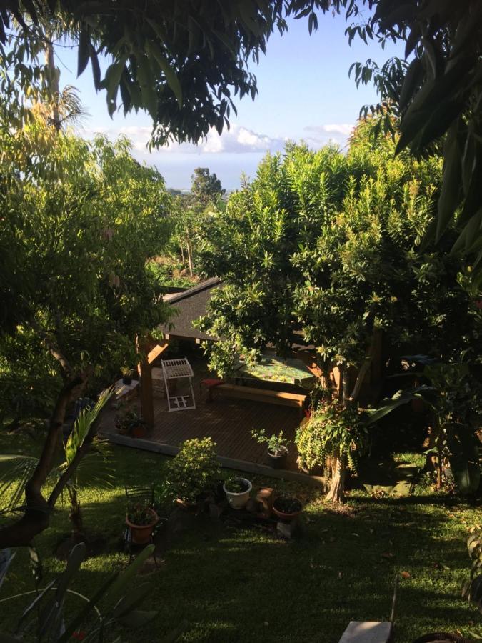 Coeur Creole Otel Le Tampon Dış mekan fotoğraf