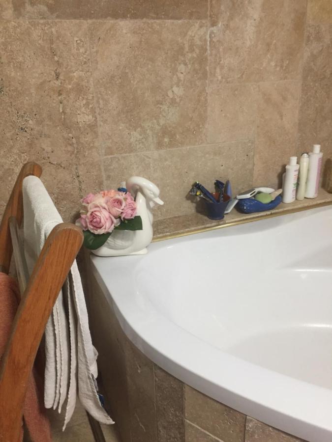 Coeur Creole Otel Le Tampon Dış mekan fotoğraf